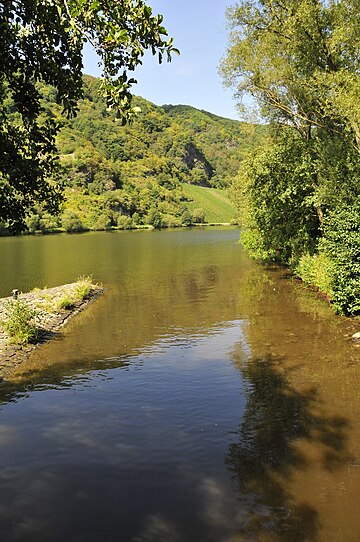 Datei:Neumagen-Dhron-Mündung.jpg