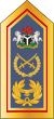 Nigeriya-AirForce-OF-10.svg