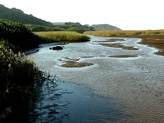 <span class="mw-page-title-main">Umhlanga Lagoon Nature Reserve</span> Nature reserve in South Africa