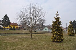 Dorpspark (2013)