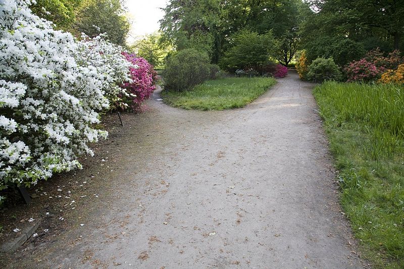 File:Overzicht, padenstructuur en beplanting - Wageningen - 20534772 - RCE.jpg