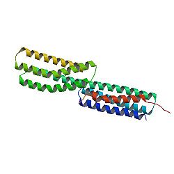 Иллюстрация выполнена на основе модели 1dow из PDB.