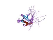 PDB 1x1f EBI.jpg