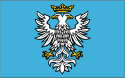 Distretto di Przemyśl – Bandiera