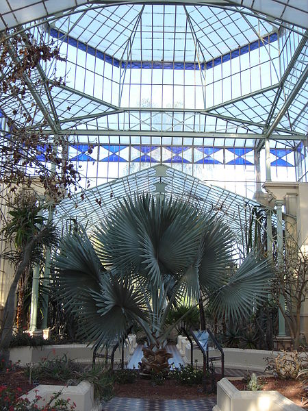 File:Palm House - Botanic Gardens Adelaide.JPG