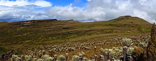 Panorama of the Playa de los Frailejones, Ocetá Páramo