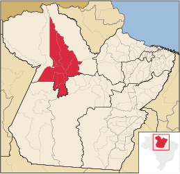 Microrégion de Santarém - Carte