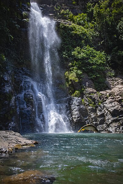File:Piraputanga na Cachoeira Serra Azul.jpg