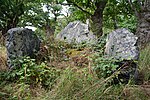 Vignette pour Allée couverte de La Roche Camio