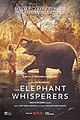 * Nomination The Elephant Whisperers poster, after Oscar nomination. Signed. --Tagooty 02:08, 6 April 2023 (UTC) * Promotion  Support Good quality -- Johann Jaritz 02:15, 6 April 2023 (UTC)