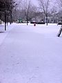 Le Près la Rose à Montbéliard, l'hiver.