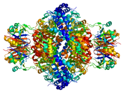 Белок GCHFR PDB 1is7.png