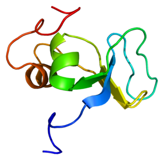 <span class="mw-page-title-main">LTBP1 (gene)</span>