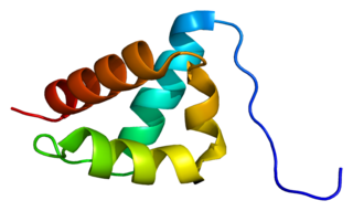 <span class="mw-page-title-main">PRPF40A</span>