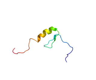 <span class="mw-page-title-main">ZNF268</span> Protein-coding gene in the species Homo sapiens