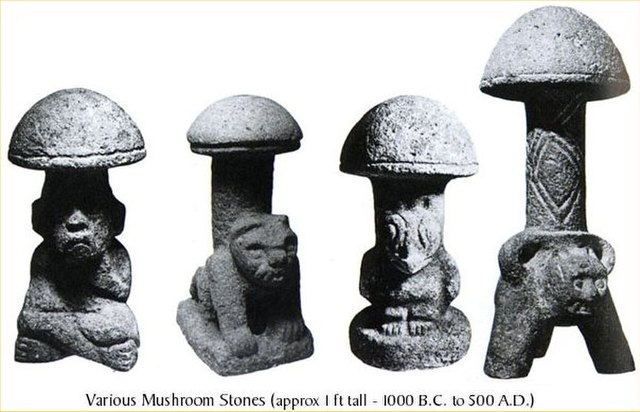 Pre-Columbian mushroom stones