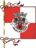 Arruda dos Vinhos bayrağı