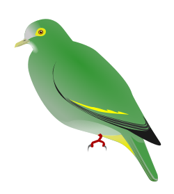 Ptilinopus arcanus.svg