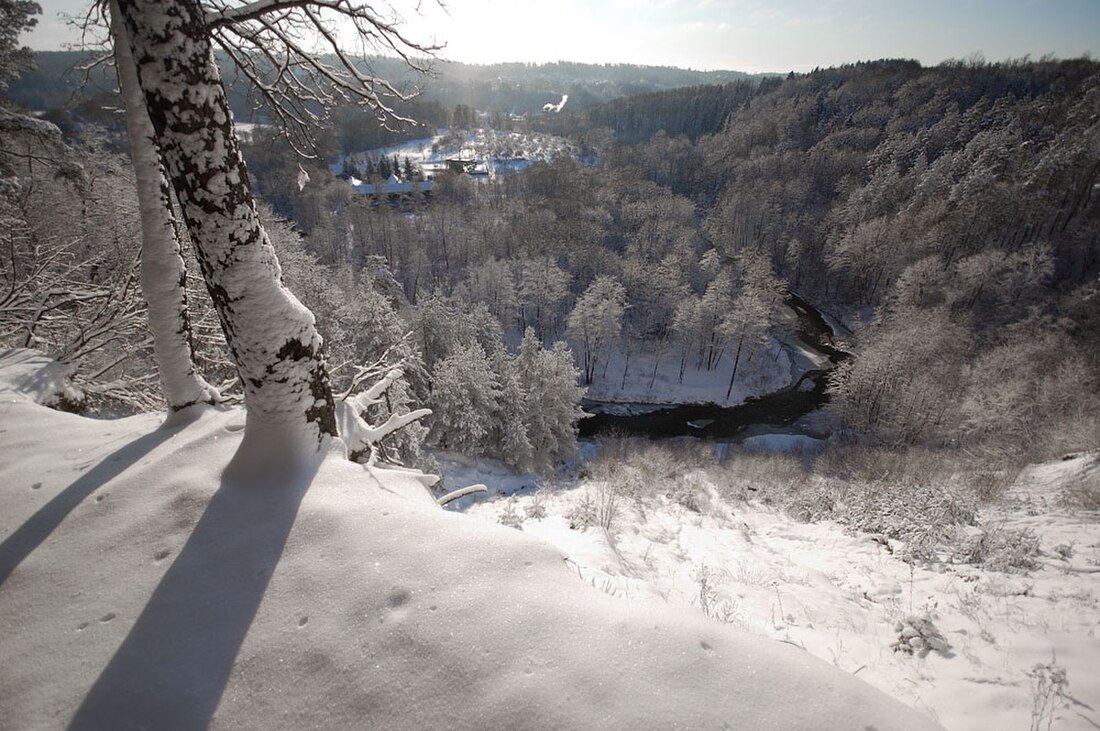 Forests in Lithuania