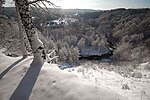 Thumbnail for Forests in Lithuania