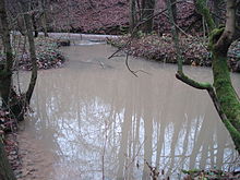 Ein Quelltopf der Lauter direkt am Flusslauf