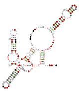 RT-7 Secondary structure taken from the Rfam database. Family RF03028