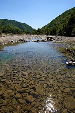 Lepșa River httpsuploadwikimediaorgwikipediacommonsthu