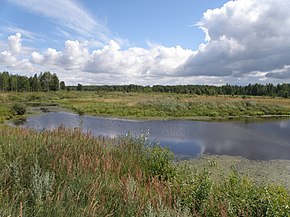 Valle di Revukha vicino a Palishchi.JPG