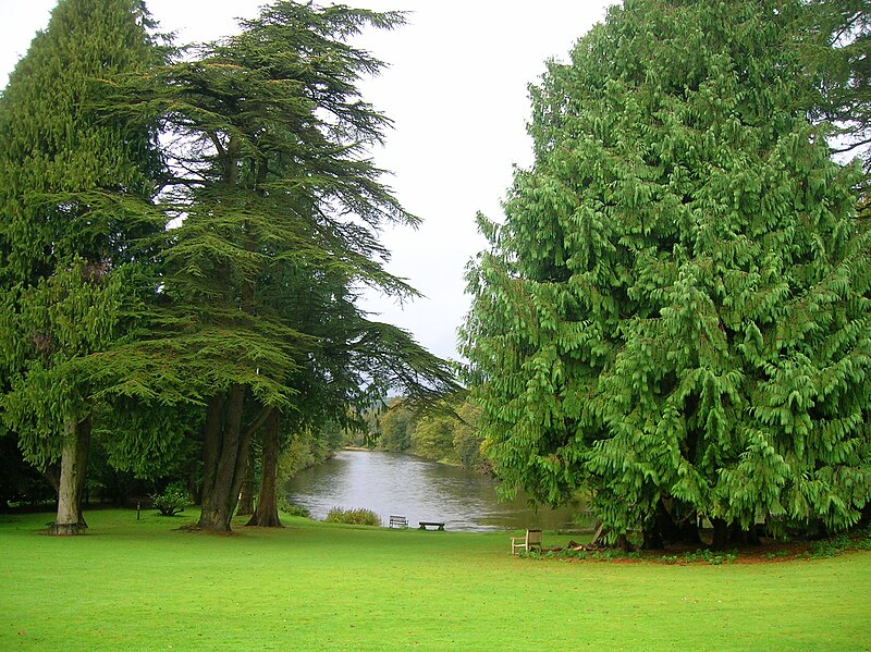 File:River Nith and plantings from Friar's Carse.jpg