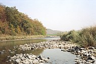 River in Corbett National Park.jpg