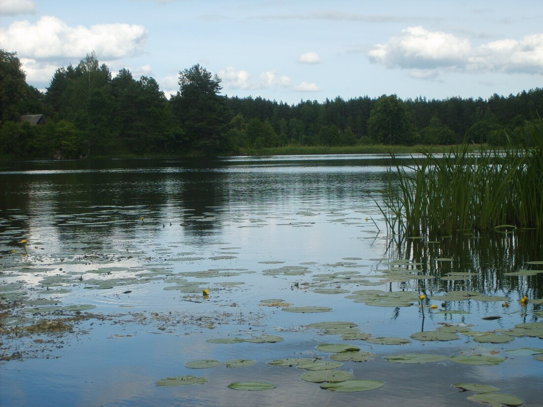 Ольховка (Островецкий район)