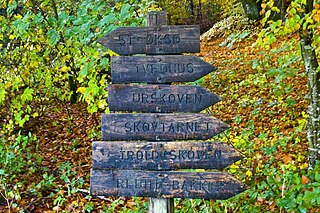 <span class="mw-page-title-main">Rold Skov</span> Forest in Himmerland, Denmark