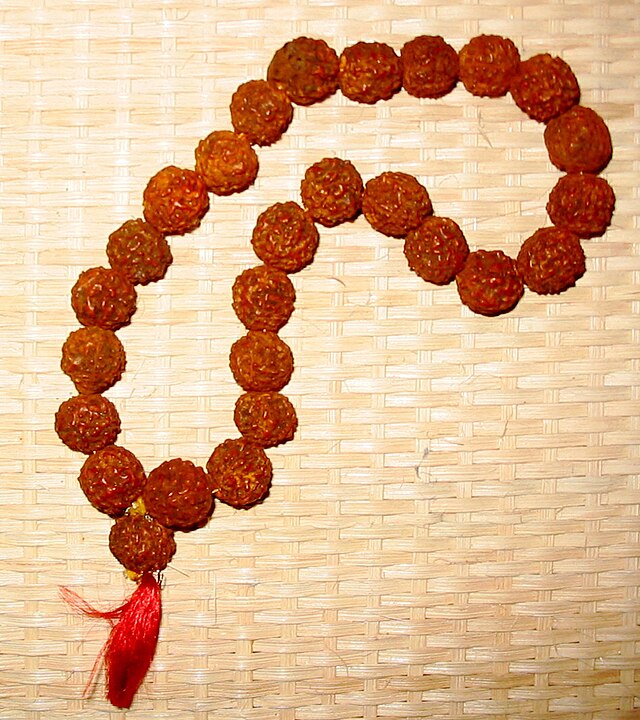 The Power of Mala Beads  Sacred Rudraksha  Learn About Malas