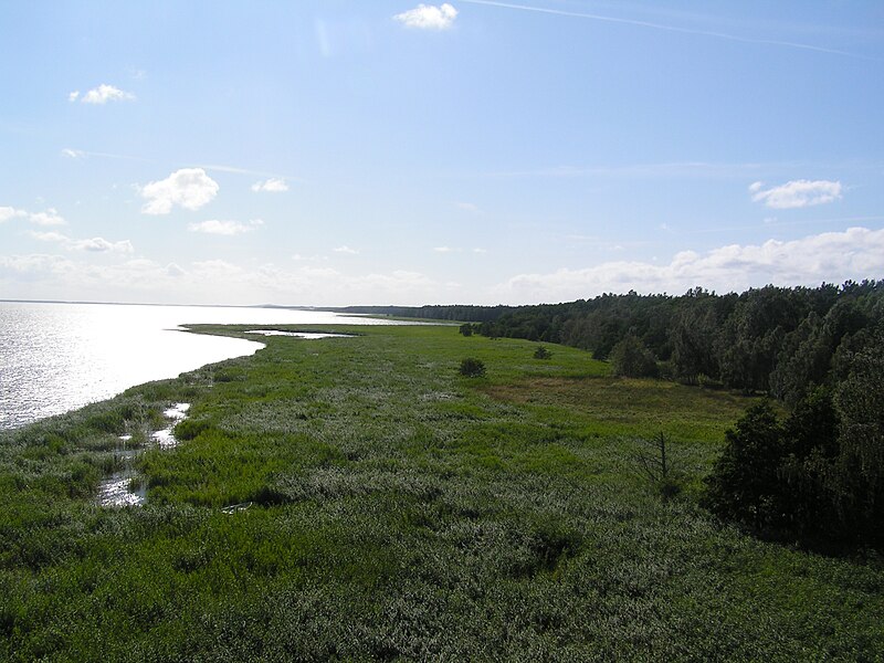 File:Słowiński National Park2012 42.JPG