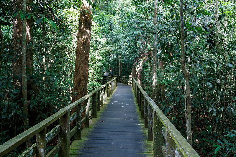 File:Sandakan Sabah Sepilok-Orangutan-Rehabilitation-Centre-19.jpg