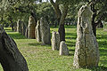 Allineamento di manhir presso Goni, Sardegna.