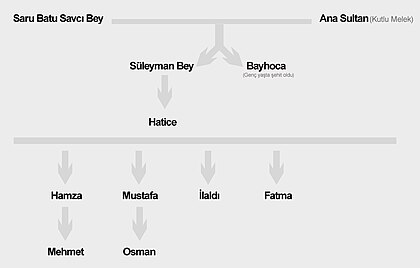 Saru Batu Savcı Bey: Saru Batu Savcı Şeceresi (Soy Ağacı), Mezarı, Popüler Kültürdeki Yeri