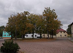 Grüner Platz in Halle (Saale)