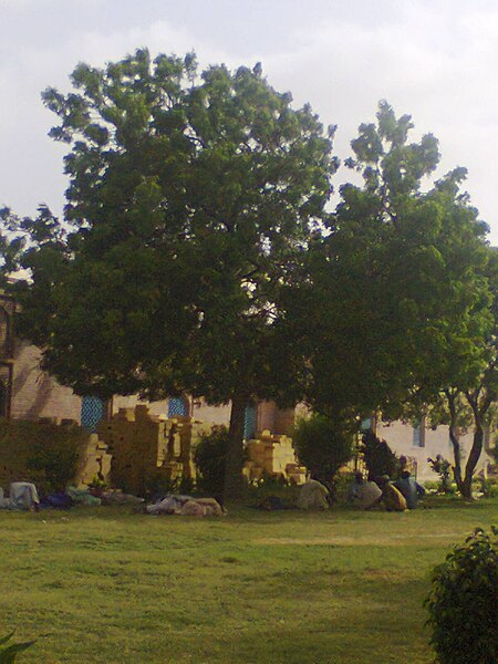 File:Shah Jahan Mosque, Thatta, green trees.jpg