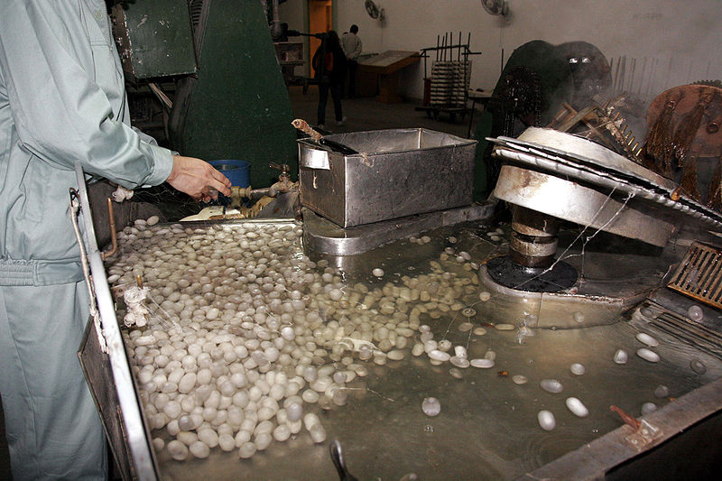 File:Silk production 04.jpg