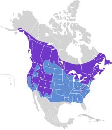 Sitta canadensis map.svg