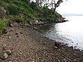 South East cove Halus Island.JPG