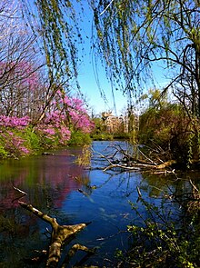 St. Mary's lake in the spring St. Mary's Lake Spring.jpg