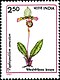 Stamp of India - 1991 - Colnect 164202 - Paphiopedilum venustum.jpeg