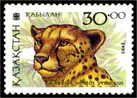 Tập_tin:Stamp_of_Kazakhstan_034.jpg
