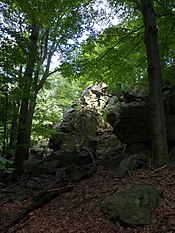 Ein Teil der Steinklunsen am Südwesthang des Sonnenhübels.