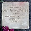 Stolperstein Varziner Str 3 (Frit) Adolph Kaufmann.jpg