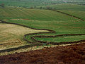 Pienoiskuva sivulle Yorkshire Dales