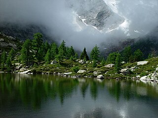 Montane ecosystems ecosystems found in mountains