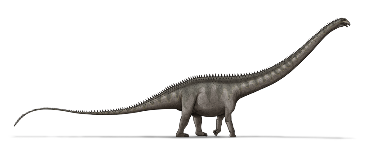 Resultado de imagen para supersaurus